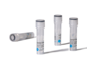 FineTest Asprosin Anticuerpo Probado Aplicación en ELISA IHC WB - Product Image 3