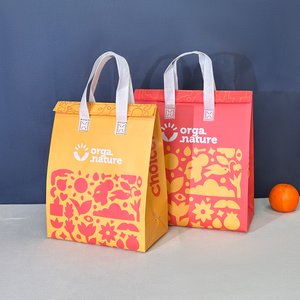 Logo personalizzato monouso borsa di raffreddamento isolamento termico OEM pranzo isolato da portare via buon prezzo pannello solare per il trasporto di alimenti - Product Image 1