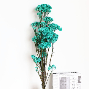 100g/paquet naturel véritable décoratif préservé fleur de riz séché Bouquet pour la maison mariage fête fleur Arrangement <span class=keywords><strong>boutique</strong></span> - Product Image 5