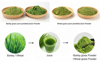 Poudre de jus de blé vert 100% naturelle, poudre d'herbe d'orge, aliments fonctionnels, boissons solides, compléments alimentaires, additifs alimentaires.