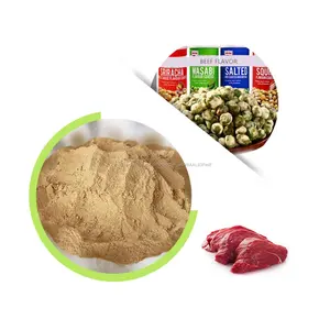 La mejor carne de proteína en polvo/polvo de carne de vacuno condimento en polvo en china