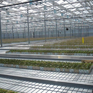 Flujo y reflujo crecer de vivero - Product Image 2