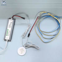 Nouveau Interrupteur Invisible à Capteur de Vibration Double Tapotement DC5-12V 5A pour Éclairage LED, Commande Vocale pour Armoire, Miroir, Verre