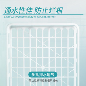 Labshark Pp Plastic Tissue Culture <b>Frames</b> Autoclavable For Laboratory Use - Product Image 4