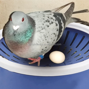 QA chim bồ câu trứng làm tổ Mat chim làm tổ đua chim bồ câu chăn nuôi trứng làm tổ hộp cho Finch Gà Gia cầm thiết bị - Product Image 6