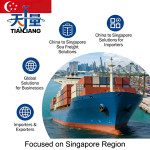 中国到新加坡海运货运解决方案，为进口商和出口商提供服务 - Product Image 1