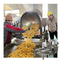 Machine à Popcorn Commerciale Industrielle Automatique Grande Capacité 75-80kg/h pour Champignons, Fournisseur Chinois