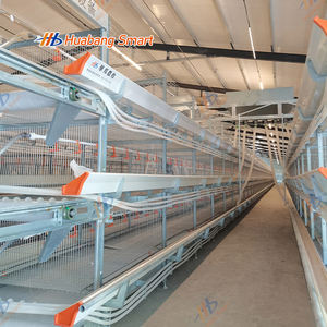 Cage pour poulets de chair de volaille avec système de suppression et de contrôle du fumier pour poulailler industriel - Product Image 1