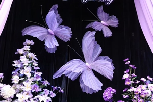 Farfalla artificiale Organza, - Product Image 5