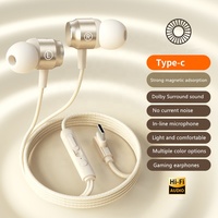 Écouteurs intra-auriculaires filaires Type-C en métal magnétique, avec microphone, étanches IPX-3, haut-parleur 10 mm, son HIFI stéréo, ajustement personnalisé pour le sport