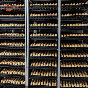 Nouvelle Machine de Production d'Œufs Multifonctionnelle en Gros 2000 Œufs – Incubateur Automatique PC pour Poulets, Oies, Autruches, Émeus, Canards, Dindes - Product Image 5