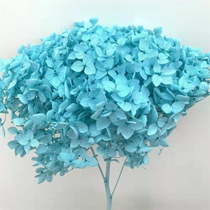 Bán Buôn Trang Trí Hoa Khô Hoa Tú Cầu Hoa Màu Hồng Nhỏ Lá Anna Bảo Quản Tú Cầu Với Duy Nhất Dài Thân Cây - Product Image 2