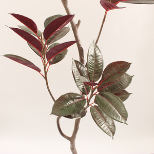 Arbre à caoutchouc artificiel <span class=keywords><strong>vente</strong></span> directe en usine de plantes à caoutchouc de haute qualité arrangement floral <span class=keywords><strong>d</strong></span>'intérieur de haute qualité - Product Image 3
