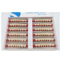 Dents postérieures synthétiques en résine acrylique, prothèse dentaire, 8 pièces/ensemble