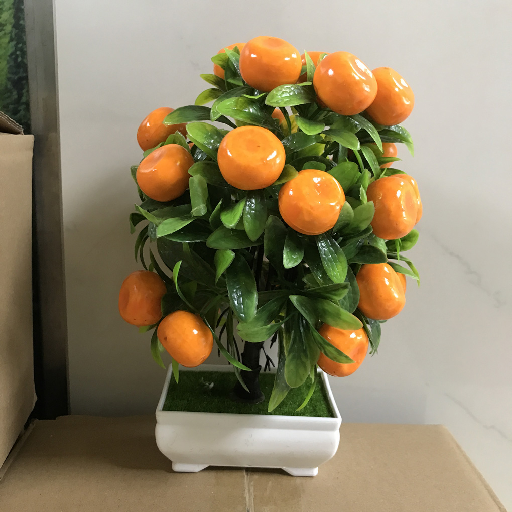 #3 (25 naranjas)