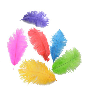 <span class=keywords><strong>Fucsia</strong></span> 2 pezzi Polobag <span class=keywords><strong>piume</strong></span> di struzzo per festa di carnevale casa matrimonio centrotavola vaso natale decorazioni per feste artigianale artigianale floreale - Product Image 4