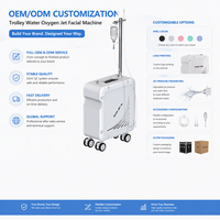 Nettoyage en profondeur à haute pression, jet d'eau oxygénée, peeling de la peau, rajeunissement de la peau, pulvérisateur blanchissant, jet de peeling, injecteur hydro