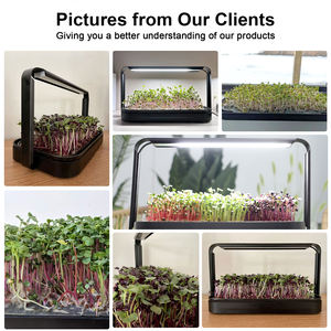 Kitchen Potting Seedling Tray <strong>Microgreen</strong> Tray Food Safety Certification Reuse Mini Smart Home Garden With LED Growing Light - Product Image 6