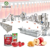 Chaîne de production de concentré de sauce tomate automatique, machine de fabrication de pâte de tomate, usine chinoise à vendre