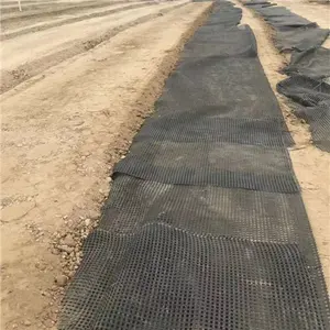 ISO CE polyester geogrid 200-30kN used in soil reinforcement for runway