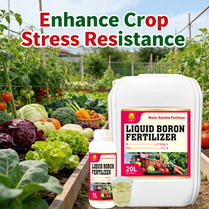 <span class=keywords><strong>ปุ๋ย</strong></span>โบรอนเหลวบริสุทธิ์สูง 150 กรัม/ลิตร สารเสริมพืชผล ดูดซึมเร็ว โบรอนเสริมสำหรับพืช ฉีดพ่นทางใบ - Product Image 2