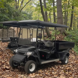 2025 New Design Wholesale Parison 2 Seats 4 Wheel Golf <b>Cart</b> Hunting Steel 48V 2025SDZX12PTPR158 4wheel <b>Tool</b> Golf <b>Cart</b> - Product Image 2