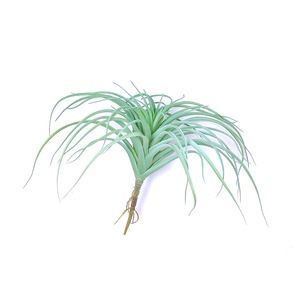 Plantes artificielles Dongguan Dream Castle en PVC souple 13-25cm, Tillandsia simulé, verdure décorative d'intérieur - Product Image 5
