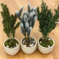 Feuille Artificielle en Pot Miniature, Aiguilles de Pin en Plastique Écologique, Articles de Décoration Intérieure, Tiges Simples, Artificielle Murale