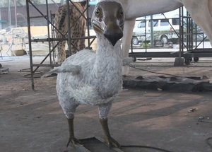 Incredibile parco divertimenti di alto livello animale a grandezza naturale <span class=keywords><strong>DoDo</strong></span> Birds modello di simulazione Realsti Animal <span class=keywords><strong>Bird</strong></span> per il parco divertimenti centrale - Product Image 4