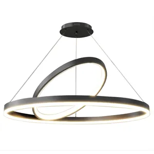 新到的可定制设计现代北欧创意圆形吊灯