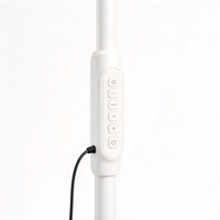 Lampe de sol LED à télécommande 12W 600lm, 2 températures de couleur réglables, lampe de lecture sur pied à col de cygne, 12V, intensité variable, CRI 80