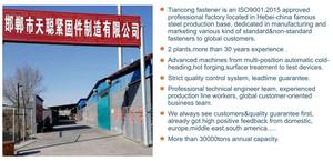 Tornillo de <span class=keywords><strong>ojo</strong></span> M6M8M10--M12 para colgar lámparas colgantes, gancho, anillo de suspensión, correa de hierro, expansión - Product Image 5