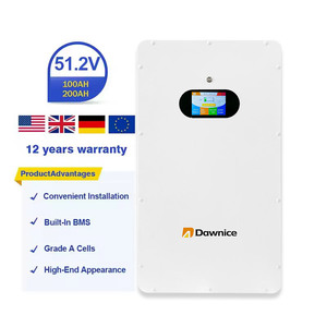 5kwh 10kwh 15kwh 20kwh Baterías 51,2 V 200ah Baterías de almacenamiento para el hogar montadas en la pared para cortes de energía - Product Image 1