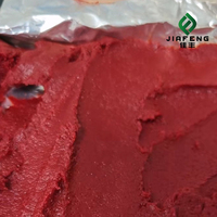 Pâte de tomate à prix avantageux provenant de la meilleure usine, disponible en différentes tailles