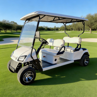 Voiturette de golf électrique économique et pratique 6 places, prix abordable, extérieur personnalisable pour les trajets quotidiens en communauté ou les déplacements courts sur les dunes