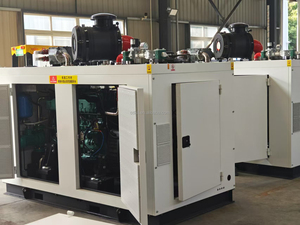 200kVA الغاز الحيوي من روث الحيوانات ، قش المحاصيل ، نفايات تجهيز الأغذية ومياه الصرف الصحي النظيفة والطاقة المتجددة مولد الغاز الحيوي CHP - Product Image 4