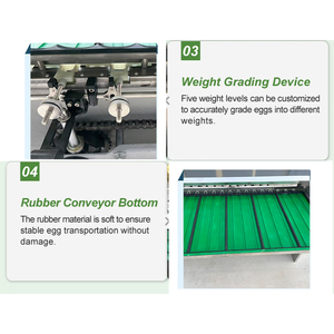 5400個卵/h卵のグレーディングマシン自動卵の計量と選別グレーディングマシン卵のグレーディングマシンのソーター - Product Image 6