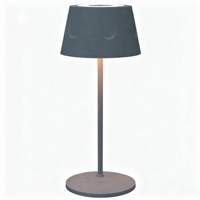 Lampe de table LED sans fil à commande tactile et intensité variable, style européen simple, corps en plastique et métal, recharge USB, lampe de chevet – Offre spéciale