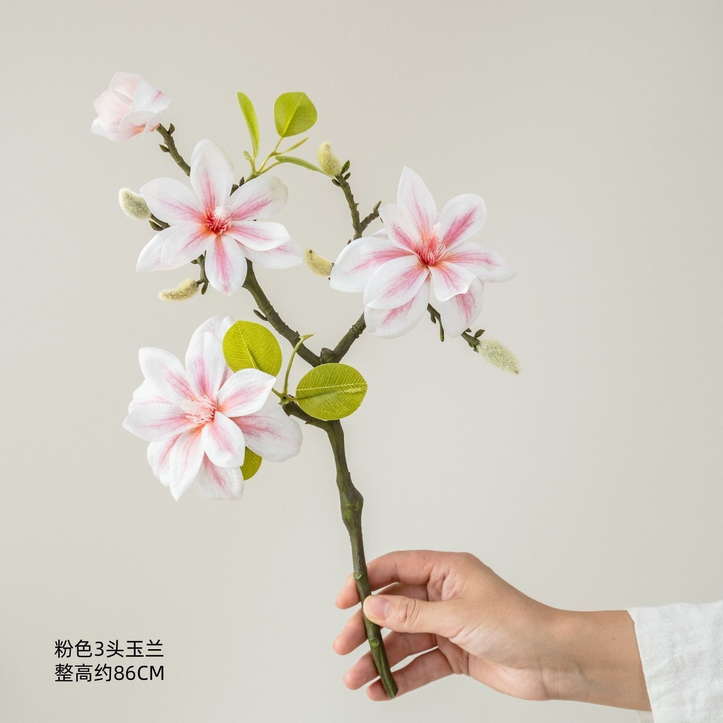 Magnolia rose à trois têtes