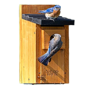 Fotocamera per Nidi di Uccelli in Legno Ecologica per Uso Esterno - Product Image 3