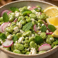 Haricots écaillés surgelés IQF Halal de qualité supérieure en gros |   Graines de fèves 100% naturelles et fraîches pour des repas sains et prêts à consommer