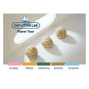 Turkish black Brand lettiera per gatti sabbia tufu one ton fresh step 5l 25l cheap bulk oem consigliato 10 kg - Product Image 4