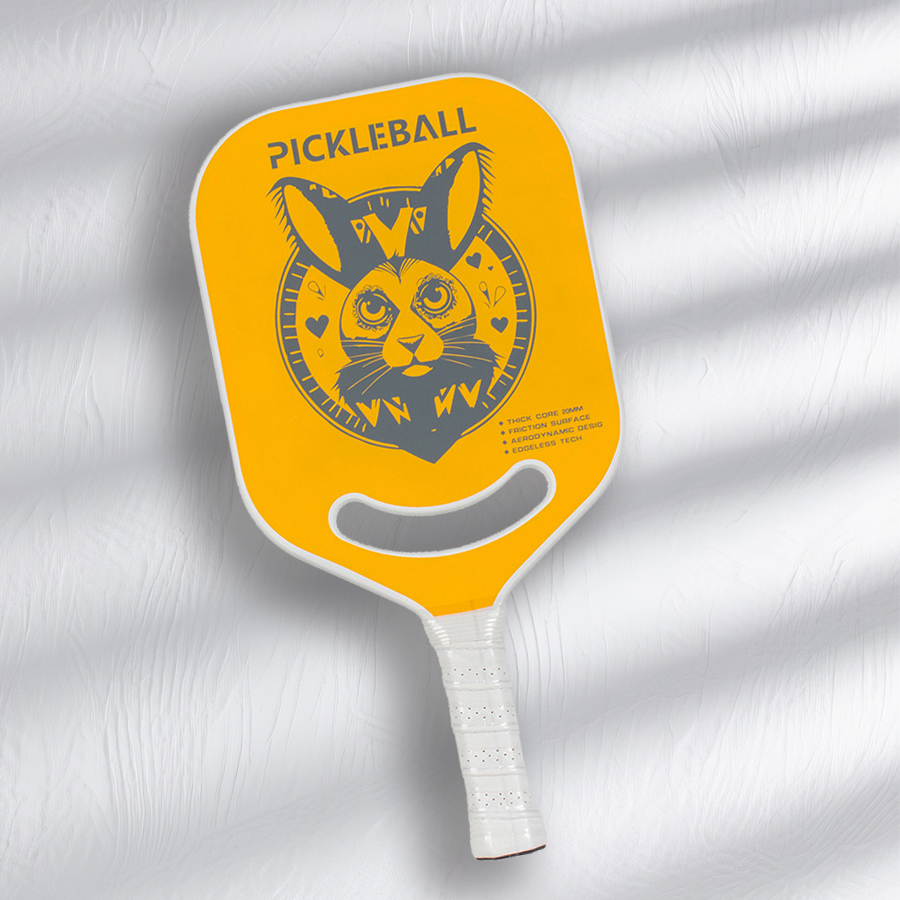 High Quality Portable Pickleball Equipment 20mm Carbon Thermoformed Core Honeycomb Usapa Approved Durable Training Entertainment