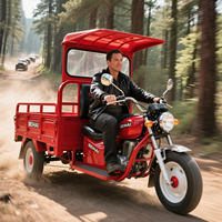 Tricycle électrique chinois 1000W, véhicule utilitaire à 3 roues, moteur en acier, carrosserie ouverte, 60V, 600kg, pour passagers, exporté par des exportateurs de tricycles