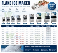 Machine à glace en flocons, machine à neige glacée, machine à faire de la glace en flocons, fabricant de glace en flocons