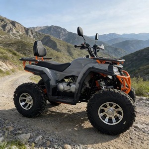 Kart fuoristrada 200CC a catena, quattro tempi, a benzina, per <span class=keywords><strong>montagna</strong></span>/spiaggia, con velocità massima di 80 km/h - Product Image 4