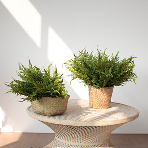 ต้นเฟิร์นประดิษฐ์ในกระถาง ต้นไม้สีเขียวสัมผัสนุ่มเหมือนจริง ทำจากพลาสติก เหมาะสำหรับงานแต่งงาน ตกแต่งผนังต้นไม้ และการจัดสวน - Product Image 1