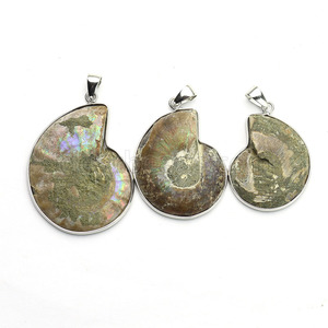 <span class=keywords><strong>Pendentif</strong></span> fossile en pierre naturelle, pendentifs de breloques en pierre de cristal fossile d'escargot véritable pour bijoux de 3CM - Product Image 1