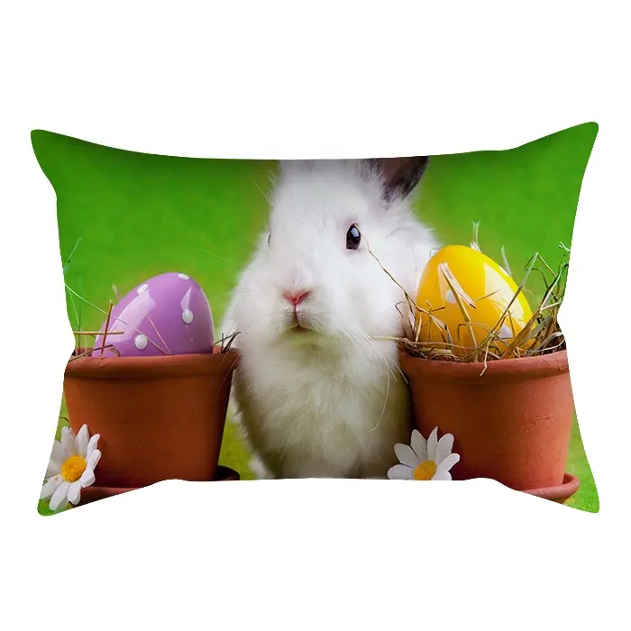 Wholesale Cushion Cover for Easter Promotional Pillowcases with 30 x 50 cm for Home Party Chair Sofa Decoration Throw Pillow