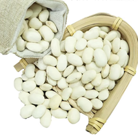 Haricots Blancs en Gros, Haricots Cannellini Riches en Protéines, Qualité Alimentaire, Vrac 25kg